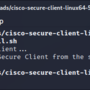 ciscovpn_linux_deinstallieren_1.png